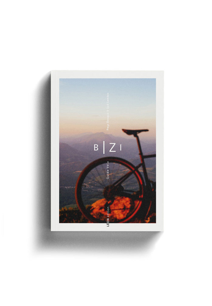 Livre BIZI