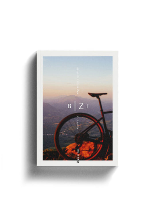 Livre BIZI